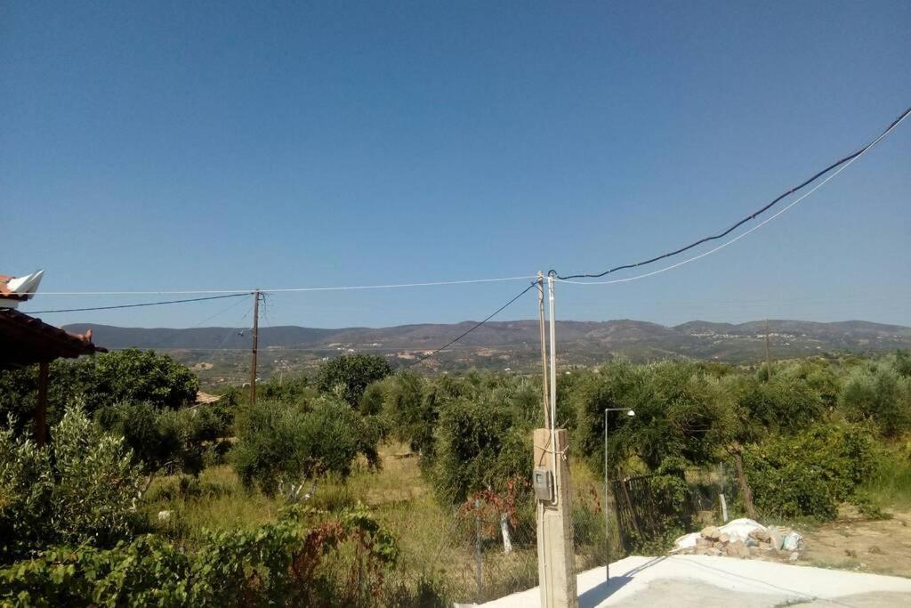 Villa Marinis House Koroni (Messinia)